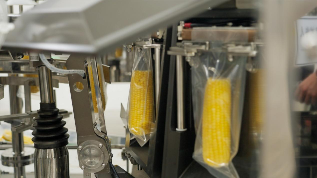 對(duì)話十月稻田董事長(zhǎng)王兵 從農(nóng)產(chǎn)品零售到新一代廚房主食品牌的突圍之路